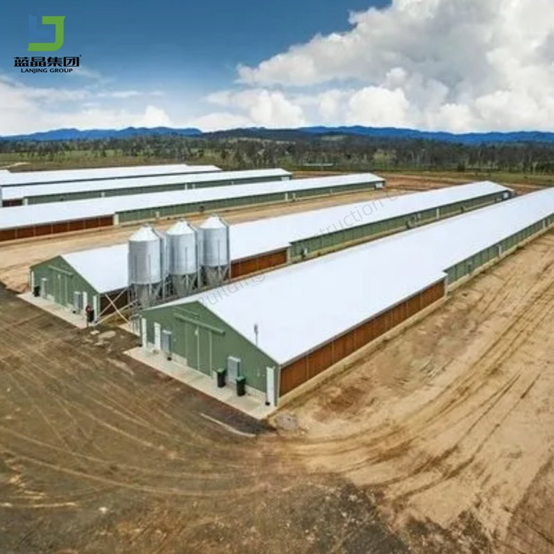 Large Span Barn Shed Metal Kits Prefab Steel Structure Building Farm Roof Truss Light Welding Cow Broiler Chicken Goat Pig House