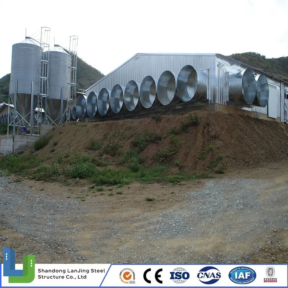 Light Material Eco-Friendly Prefabricated Building Steel Structure Chicken House Poultry Farm