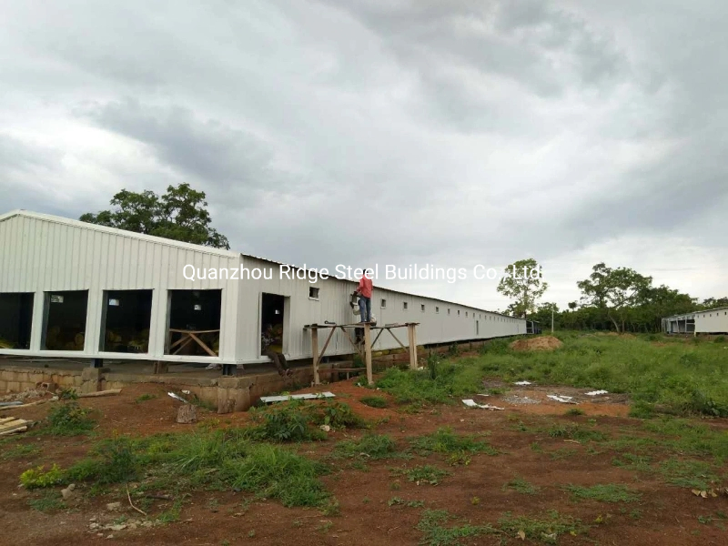 Automatic Prefab/Prefabricated Steel Structure Chicken Poultry House