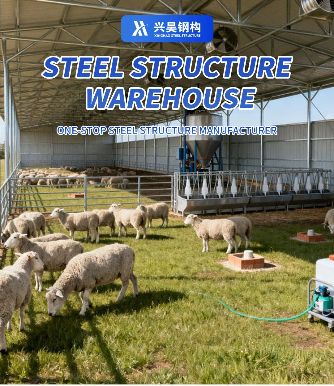 Steel Structure Poultry House