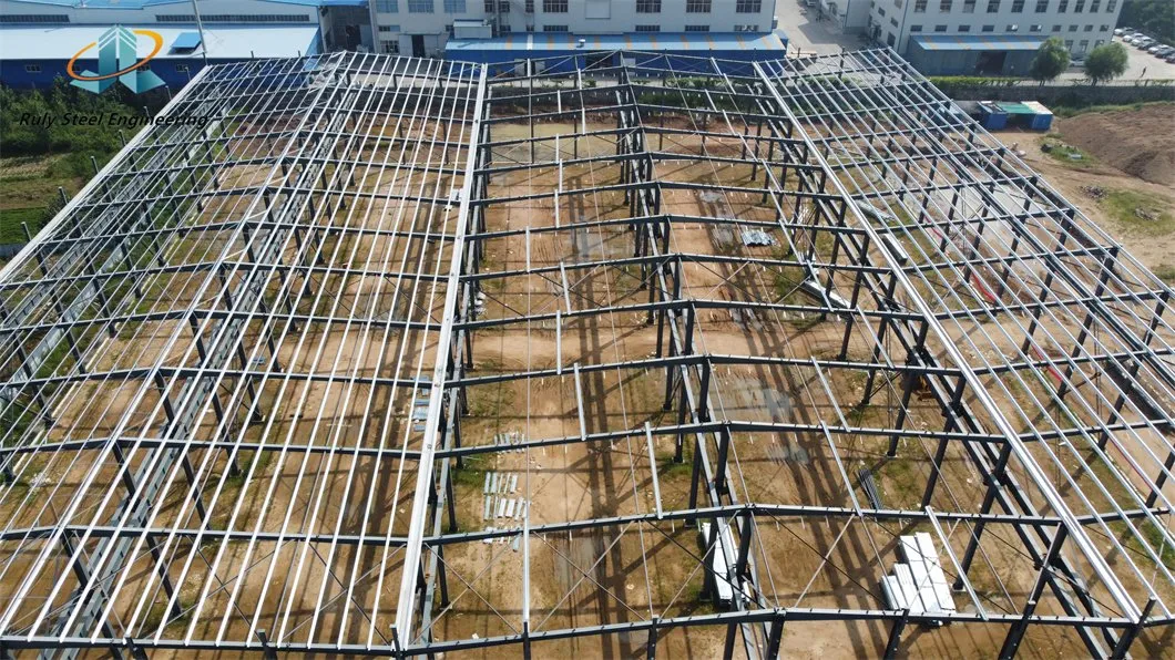 Steel Structure Warehouse Construction