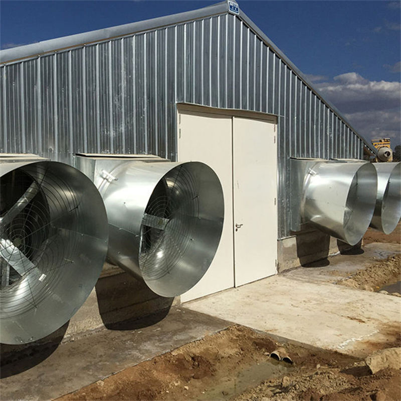 Versatile Steel Structure for Livestock Home Building Projects