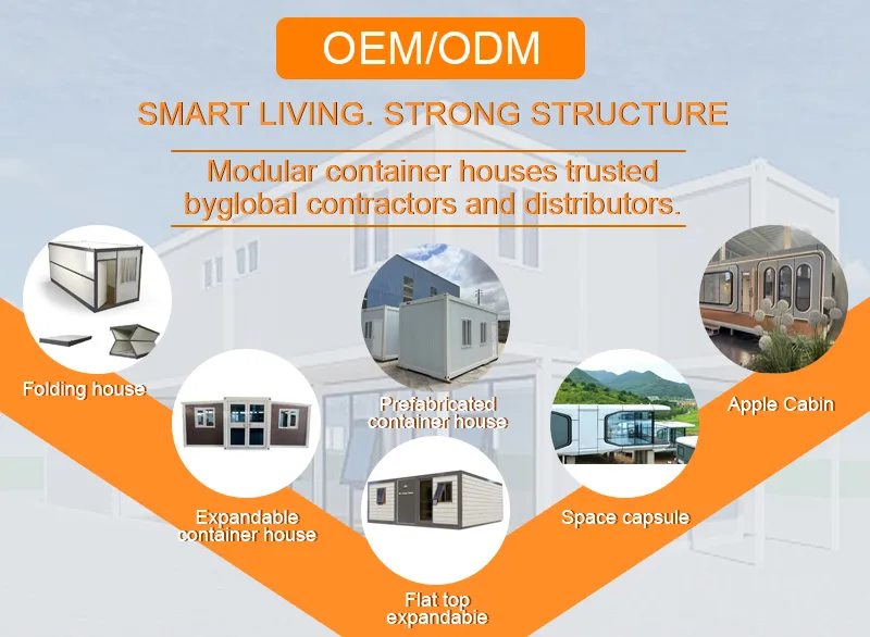 OEM ODM Customization