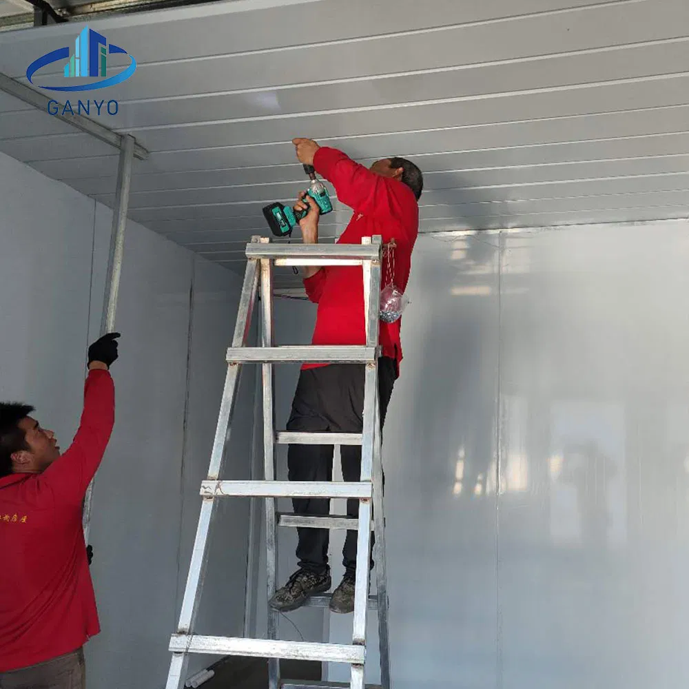 Economical Insulated Quick Assembly Modular Modern EPS Prefab Houses