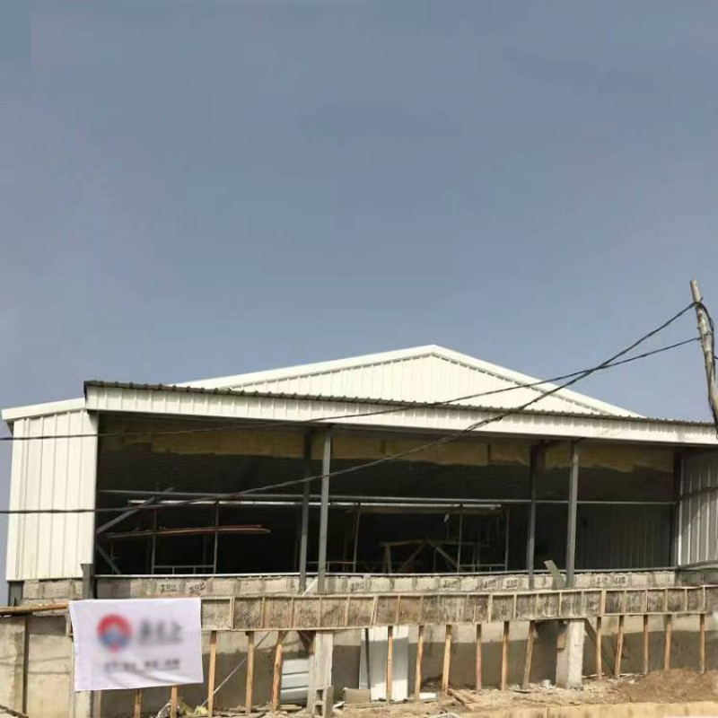 High Quality Metal Steel Structure House Frame Building