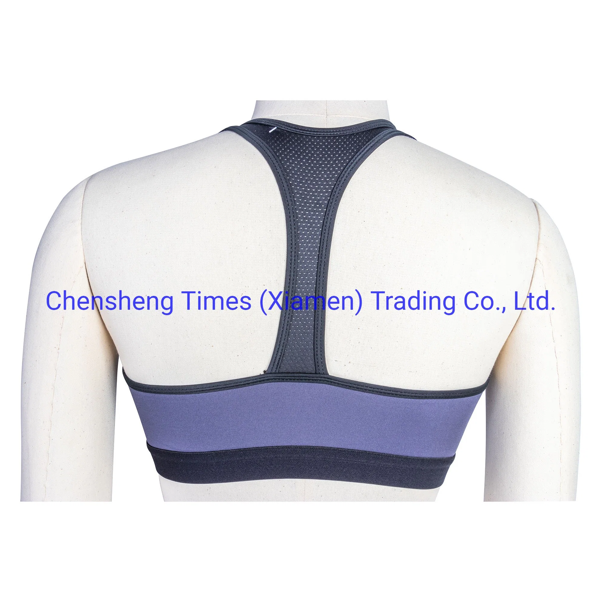 Active Running Jogging Sports Fitness Sex Quickly Dry Sports Bra for Gym Wear