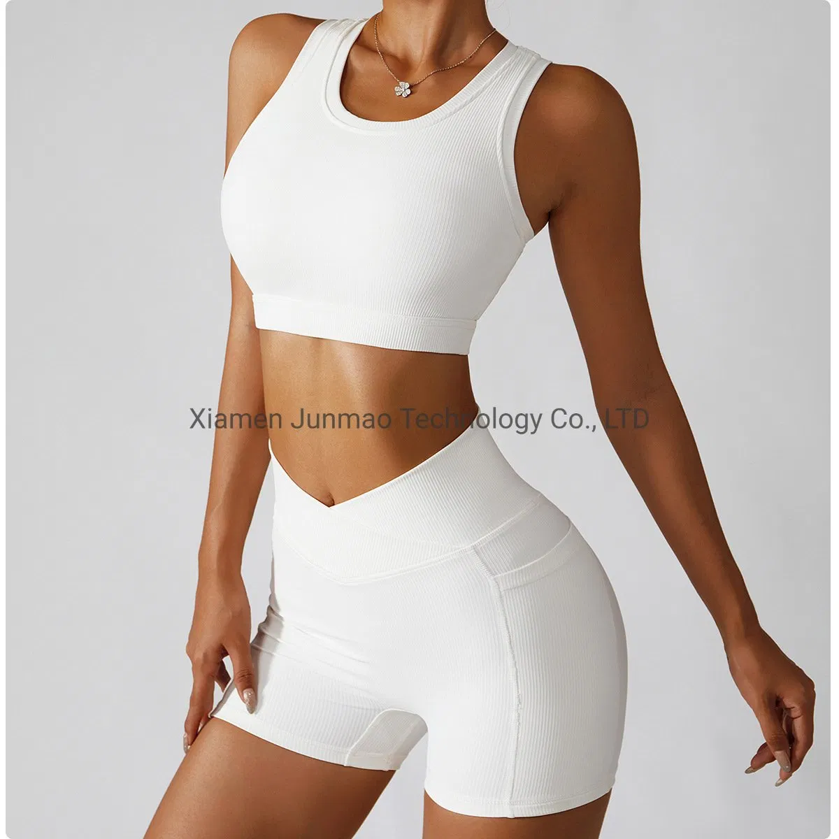 Wholesale Fitness Yoga Active Wear Sets Women Gym Gathering Yoga Suit Professional Training Sport Gym Wear