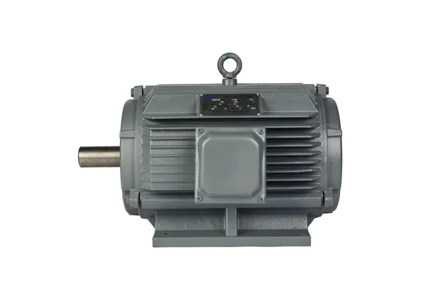 Electric Induction Motor