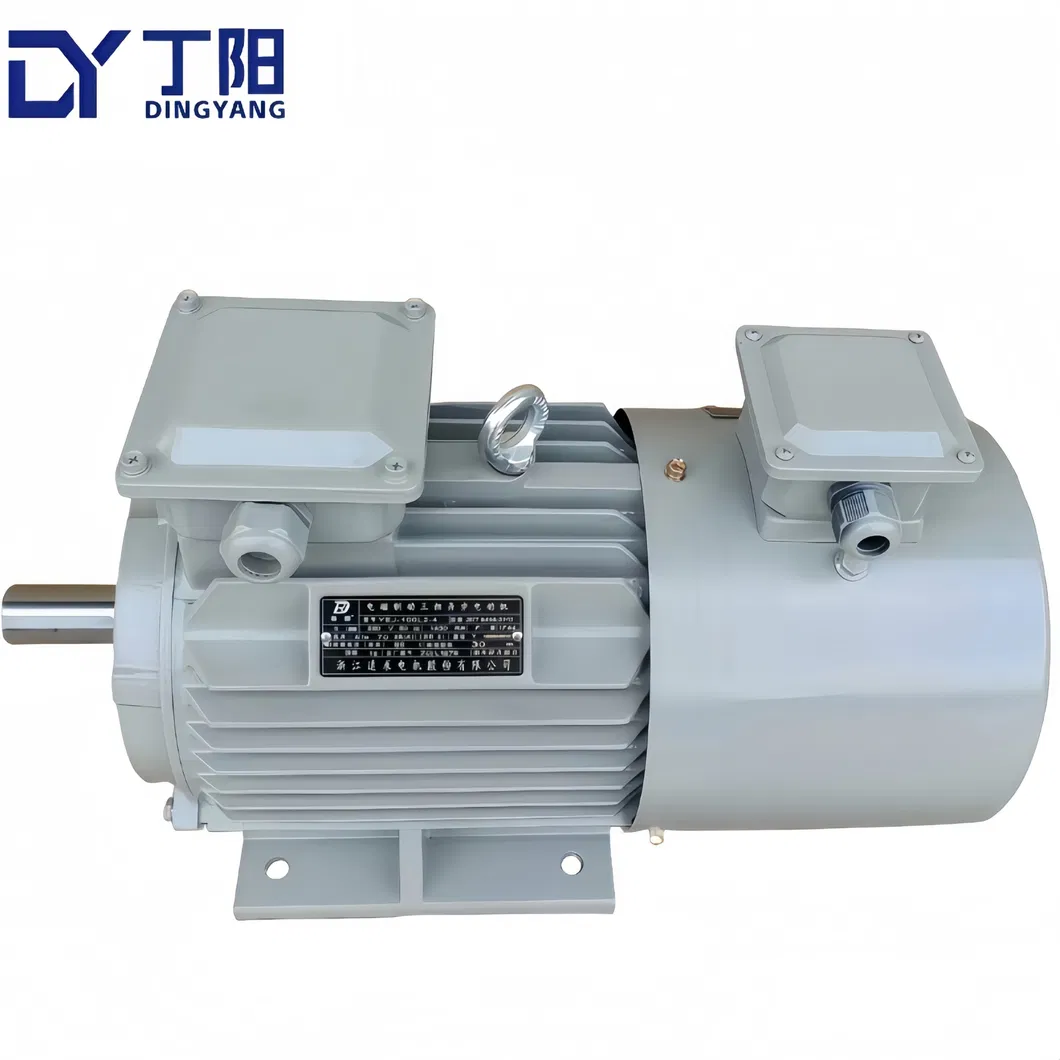 Motor detail 2