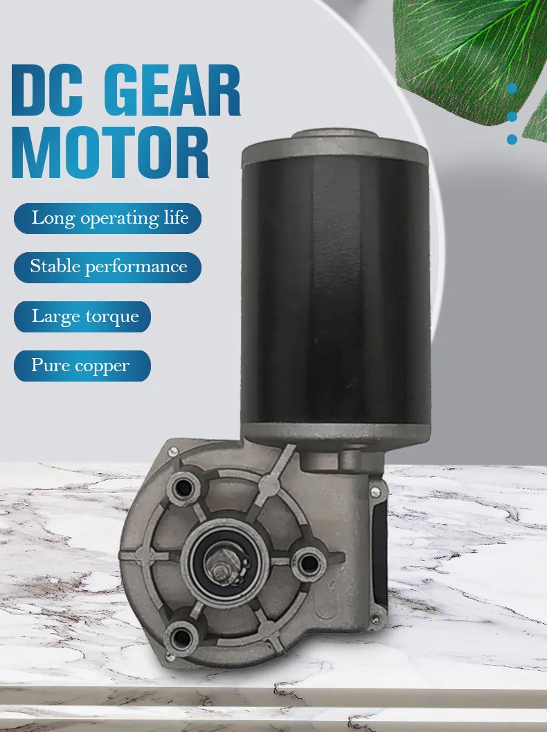 DC Worm Gear Motor Detail