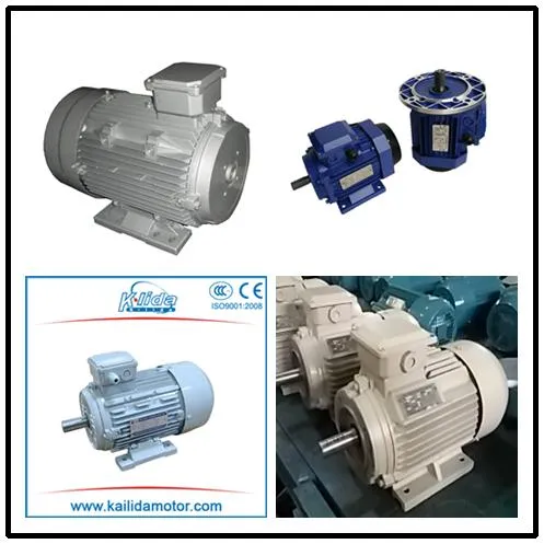 MS Series Three Phase Motor Photo 1