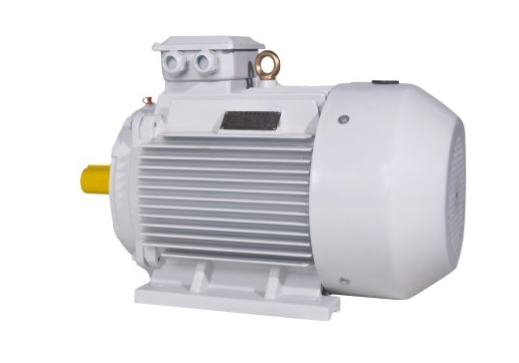Typ Permanent Magnet Motor Platform for Advanced Energy-Efficient Machinery and Precision Industrial Motion Control Across Industries