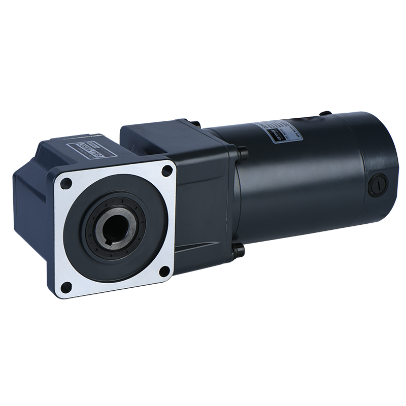 Nmrv Worm Gearbox Micro DC Brushed Gear Reduction Motor 12V 24V