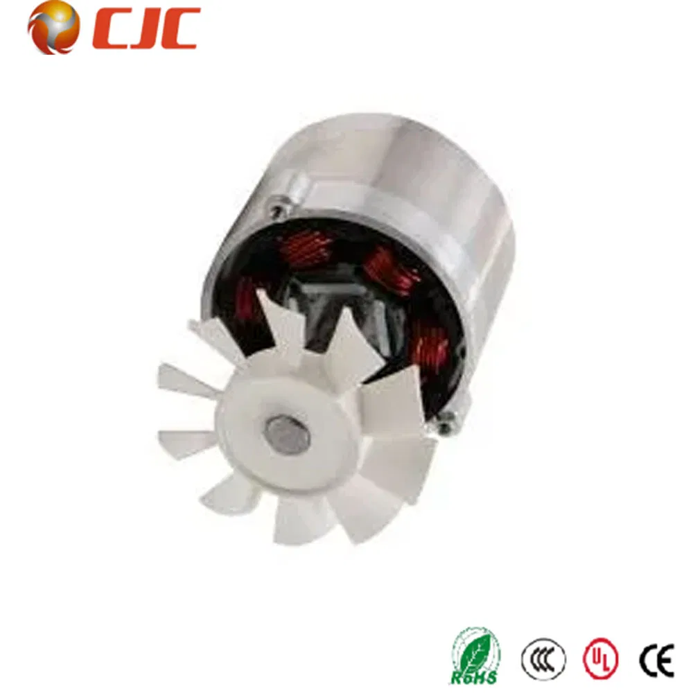 16V Mini DC Brushless Electric Motor BLDC for Blender/Food Processor with ISO9001