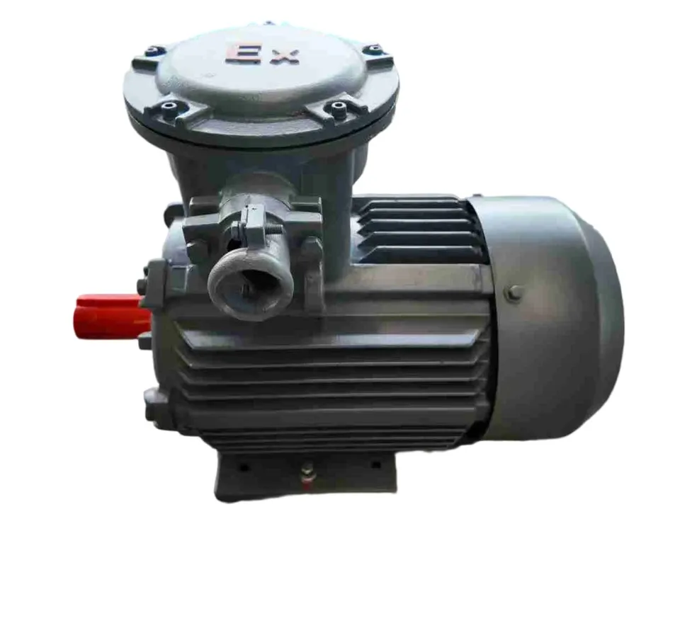 Explosion Proof Pump Motor