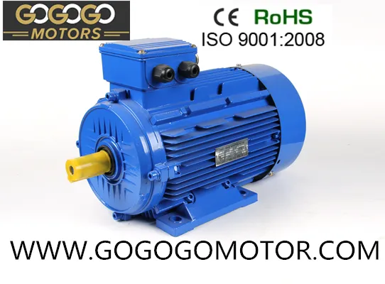 Three-Phase Asynchronous Motor Detail