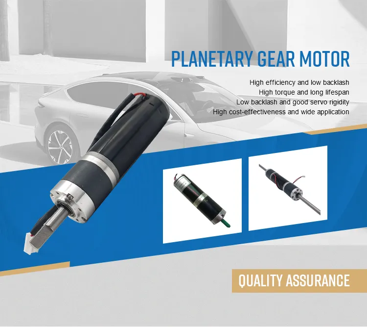 DC Brushed Planetary Gear Motor