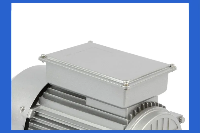 Single Phase Induction Motor 220V 2