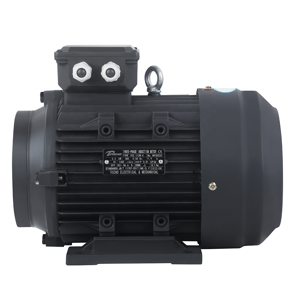 2.2kw 4kw 5.5kw 7.5kw 11kw 15kw 18.5kw Double Bearing Hollow Shaft Motor For Italian 24mm Pump