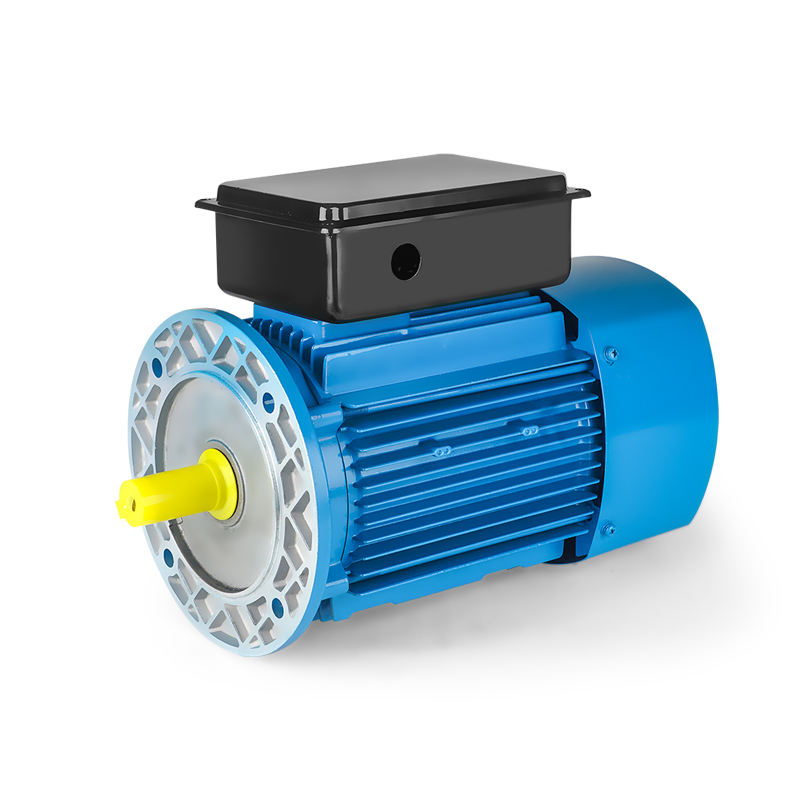Single Phase Induction Motor 220V Meat Grinder Food Packaging Machinery Motor