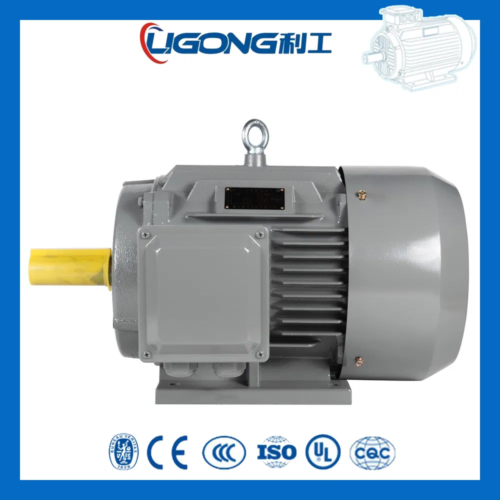 Yd-180L-8/6/4 Triple-Speed Speed Variable Yd Three-Phase Asynchronous Motor 7kw/9kw/12kw for Packaging Machinery