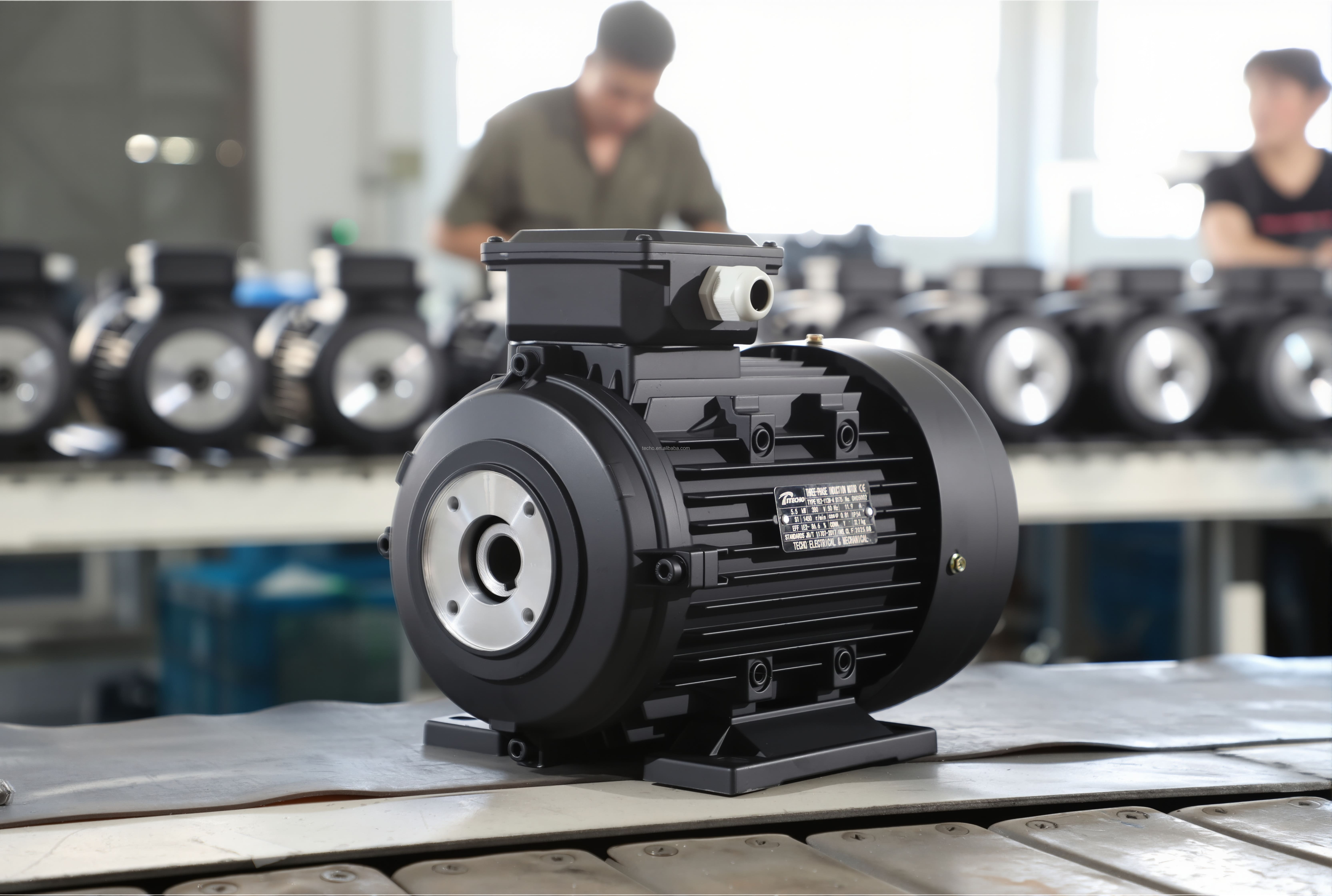 Motor View 1