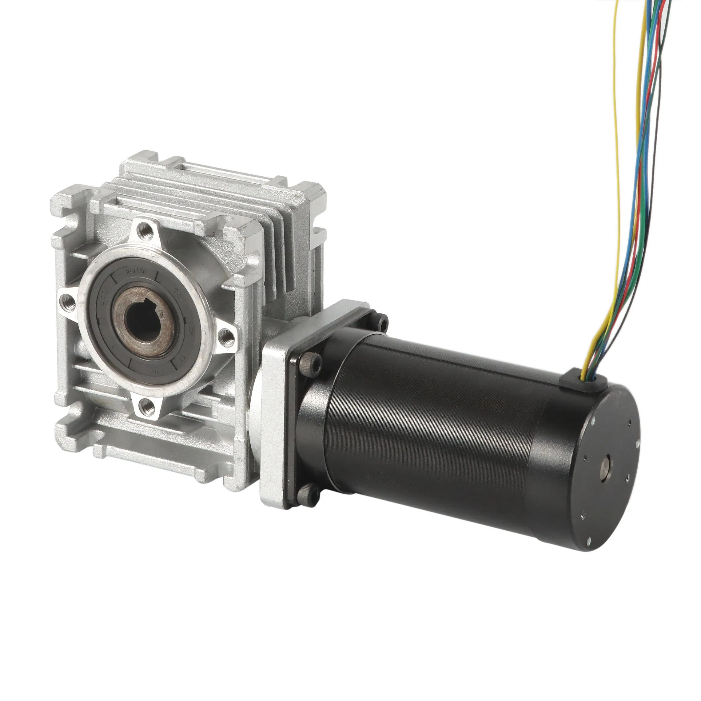 12V 24V 36V 48V 57mm Brushless DC Motor BLDC with Worm Gearbox