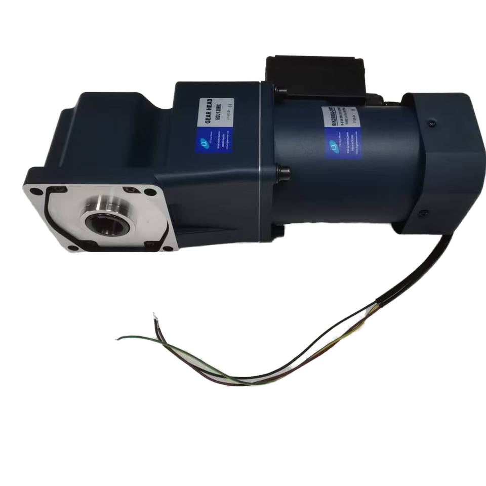 250W AC Right Angle Hollow Shaft Micro Gear Motor Single Phase 220V With Thermal Protection High Speed Reducer