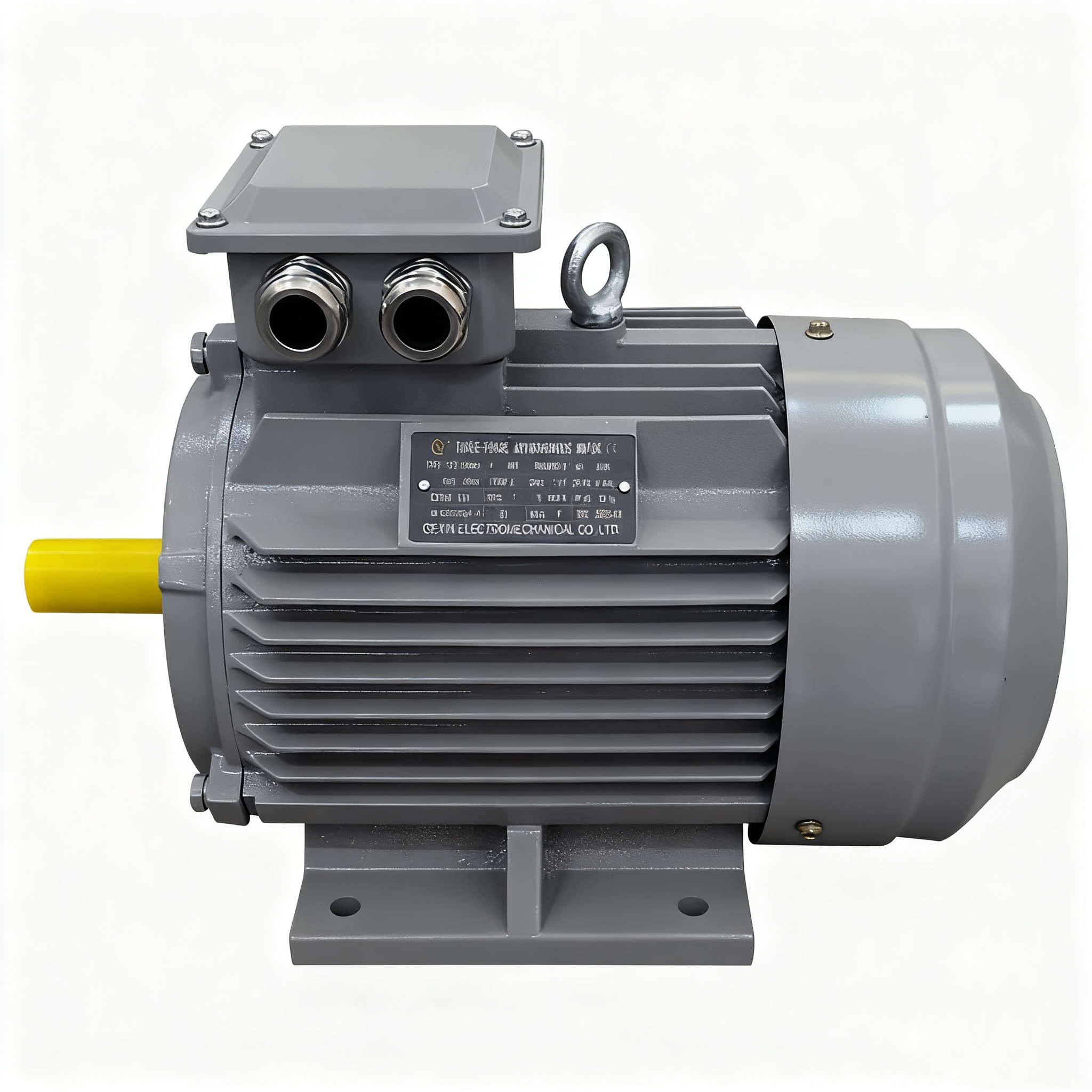 High Efficiency Three-Phase Induction Asynchronous Motor YE3-250M-4 IE3 Electric Motor 55kw AC Motors BIOTE 50/60Hz