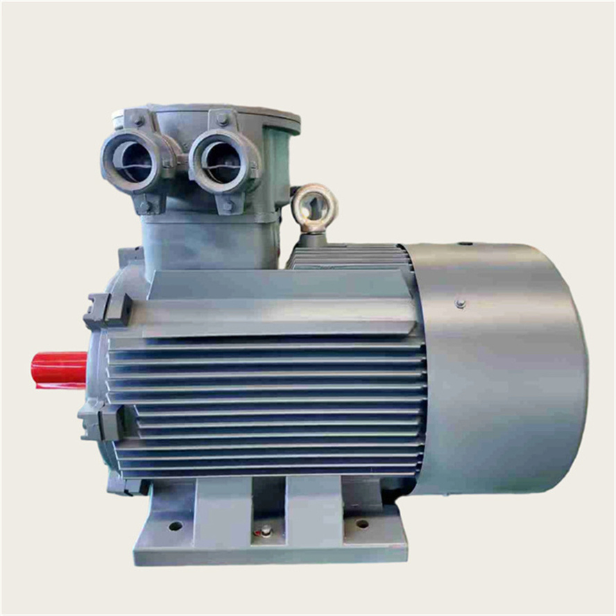 50Hz Explosion Proof Pump Motor Three Phase Asynchronous AC Induction Electric Motor