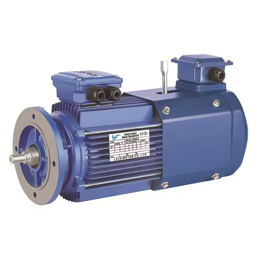 High Capacity RKSF Three Phase Motor Induction Motor Asynchronous Motor For Water Pump
