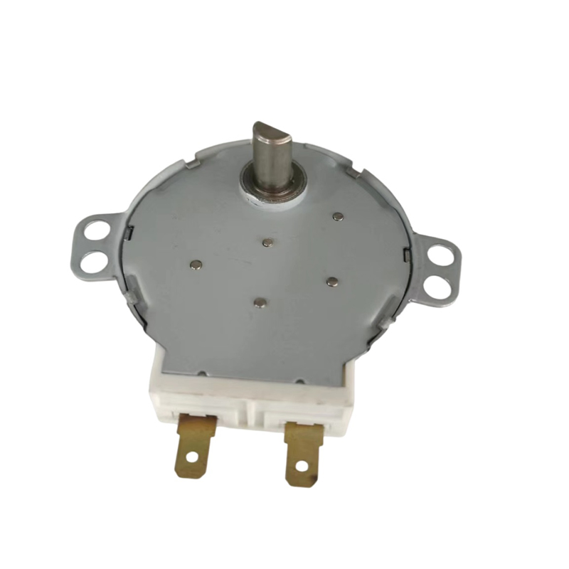 Professional Energy-Saving Dish Washer/Clothes Washer/Electric Heater/Valve Electrical AC Synchronous Motor 49tyj