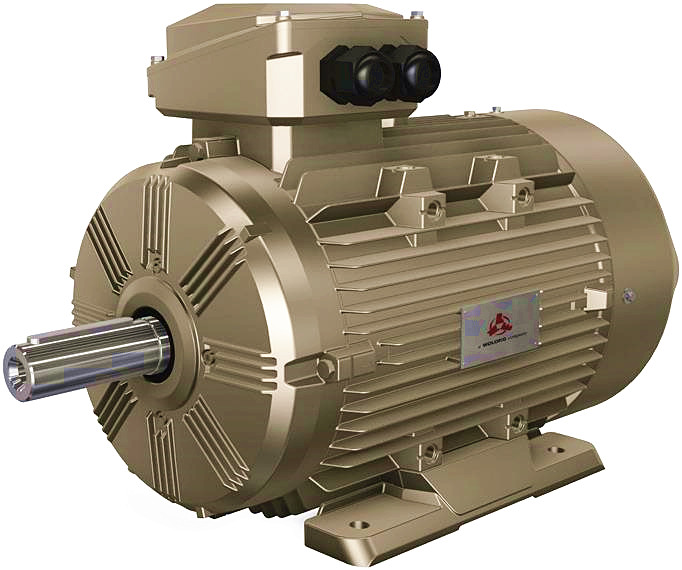 WE4 High-efficiency Three-phase IE4 AC Asynchronous Motor(80~355mm 0.75~375kW ) Made in WOLONG China