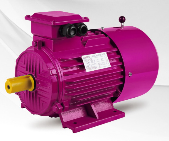 Variable Speed 3 Phase Asynchronous Motor 60Hz Cast Iron Housing CE/ISO Certified