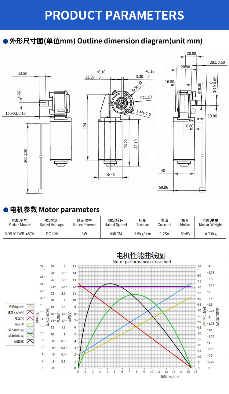 Worm gear motor detail 3