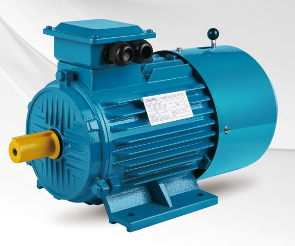 Variable Speed 3 Phase Asynchronous Motor 60Hz Cast Iron Housing CE/ISO Certified