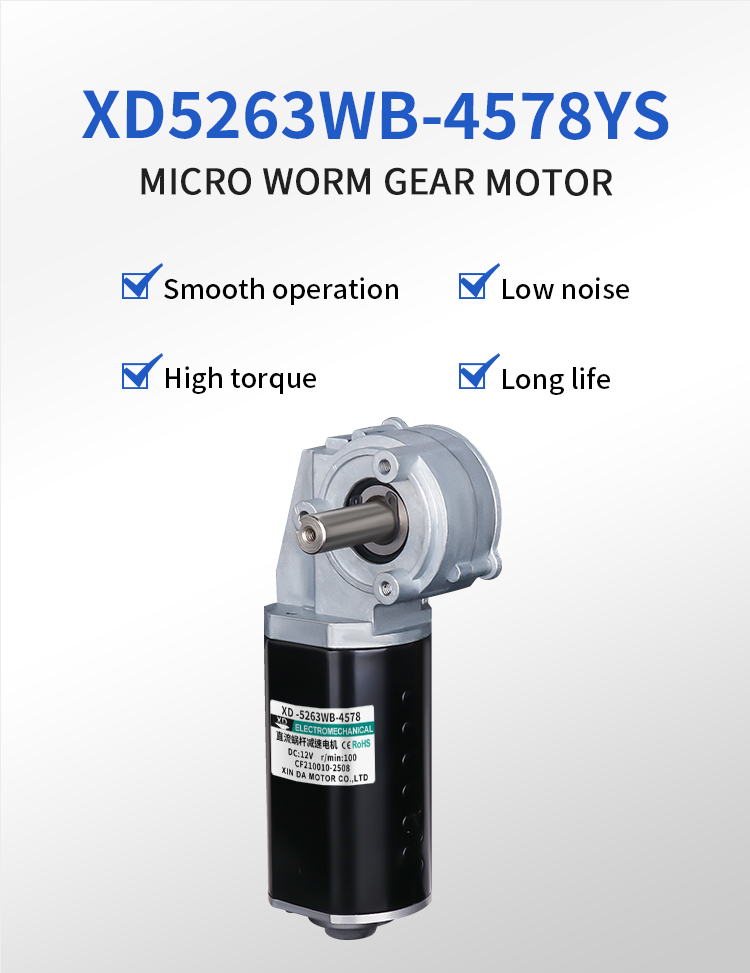 Worm gear motor detail 2