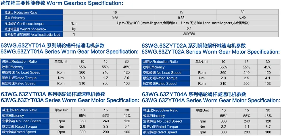 Worm Gear Motor Specifications