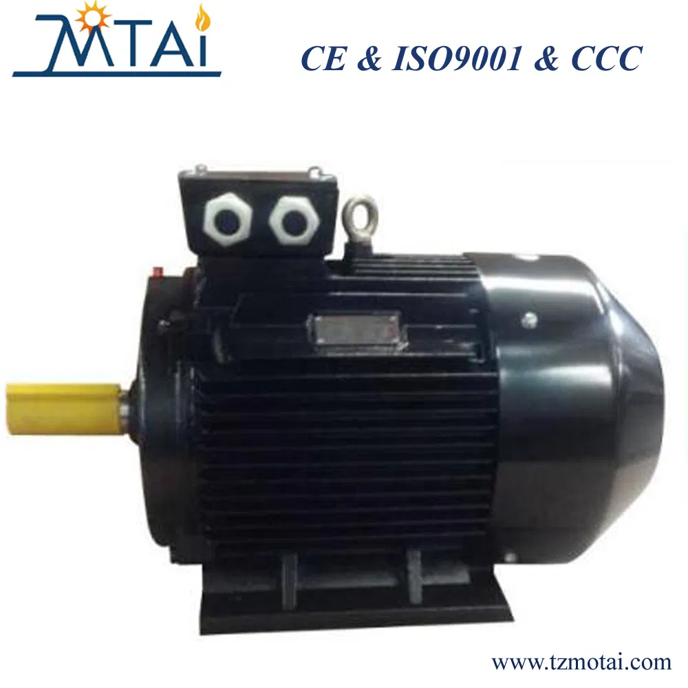 IE3 Premium Efficiency AC &nbsp;Industrial Electric/Electrical Induction Asynchronous Motor with CE