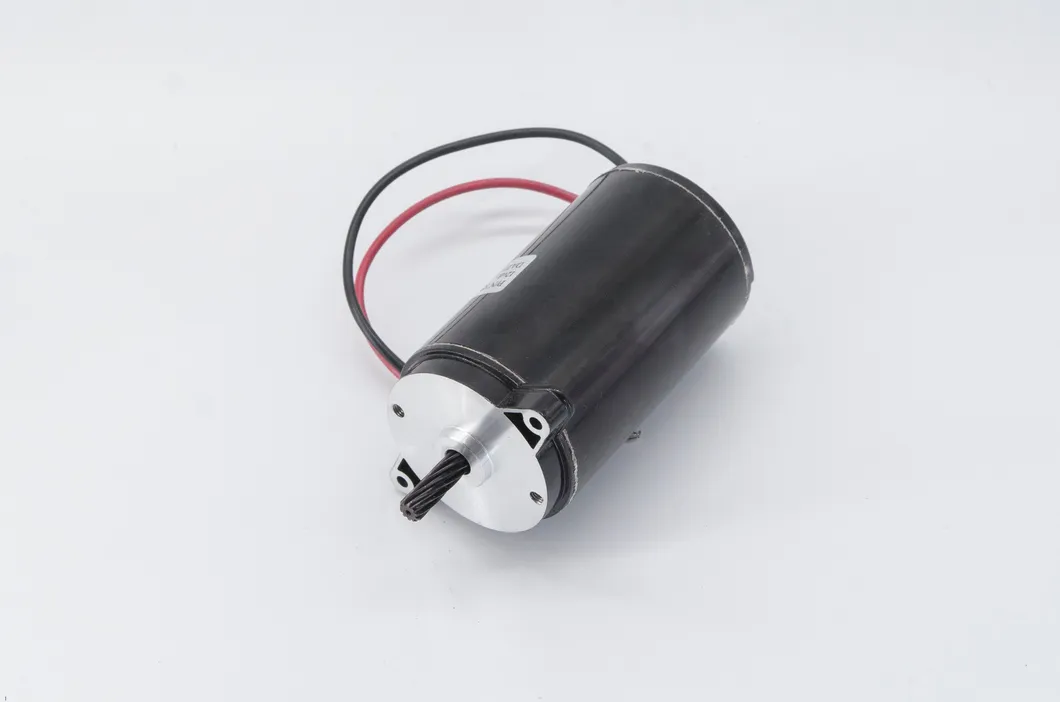 Brushed DC Worm Gear Motor
