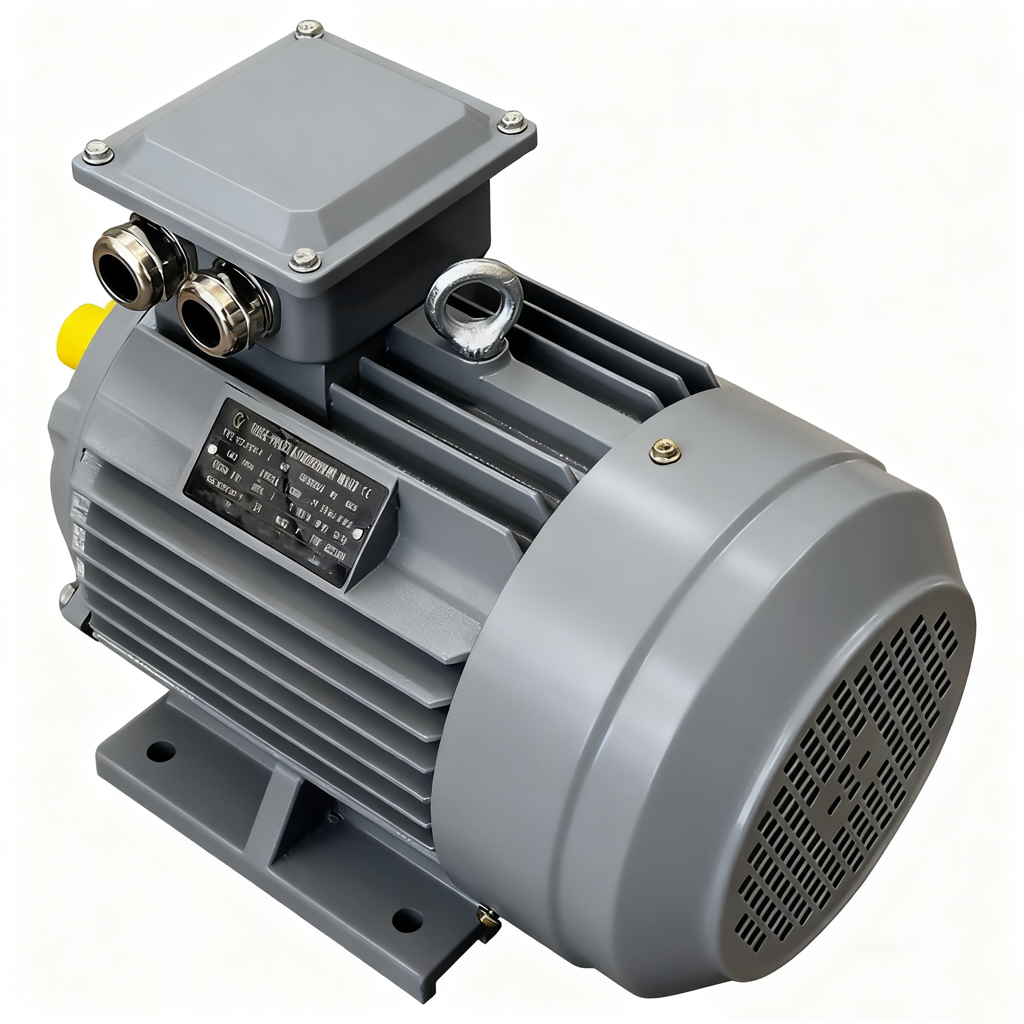 High Efficiency Three-Phase Induction Asynchronous Motor YE3-250M-4 IE3 Electric Motor 55kw AC Motors BIOTE 50/60Hz