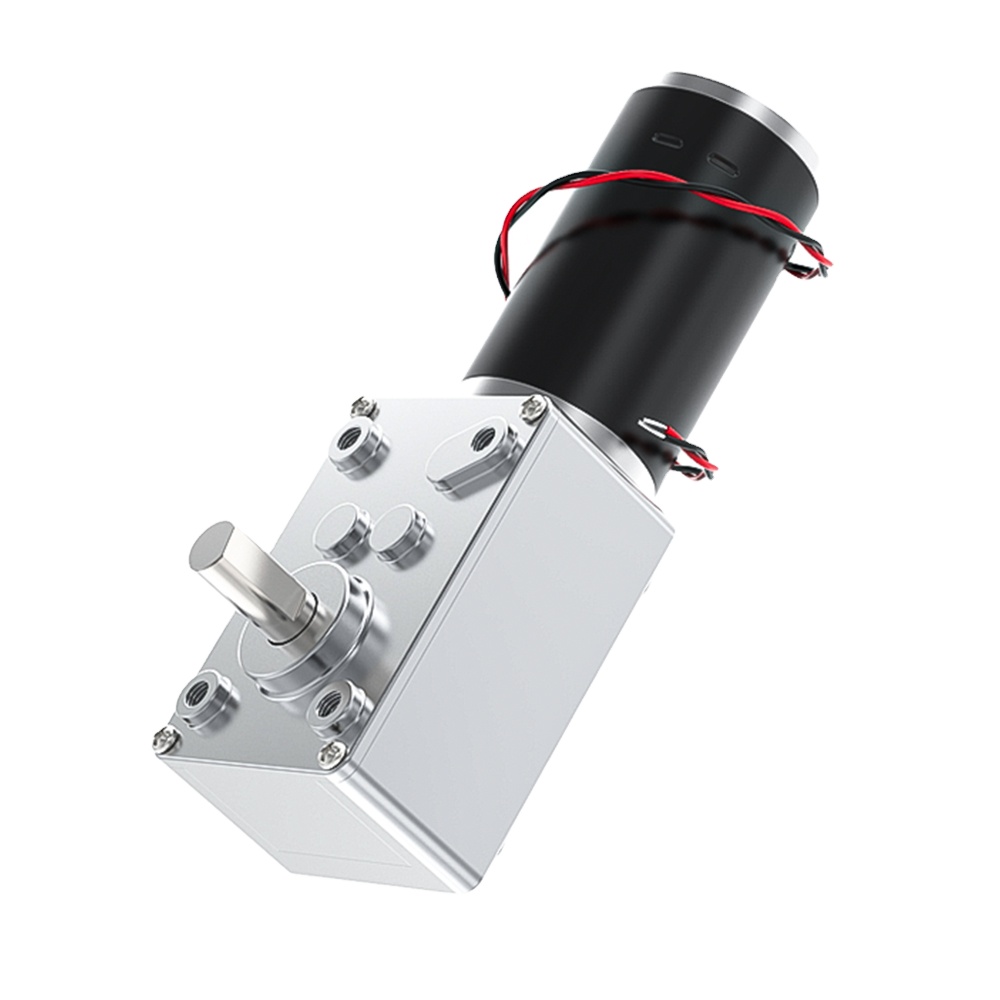 5840-31ZY Worm Gear Reducer Motor 12V/24V 7RPM~470RPM Speed Adjustable DC Reducer Motor Micro Motor High Torque