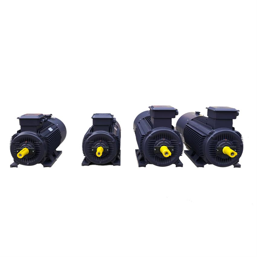 3~100Hz Frequency Variable Speed Three-Phase Asynchronous Motor VFD Motor 0.75~22kw