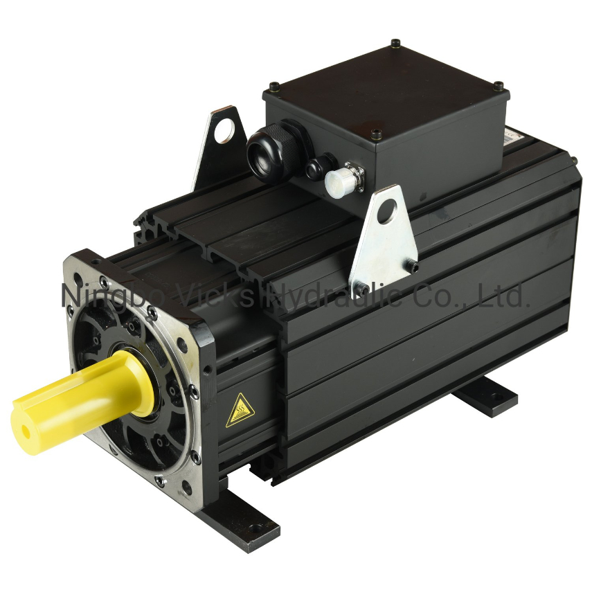Factory Wholesale Big Servo Motor Sepcially for Plastic Machinery Motion Control