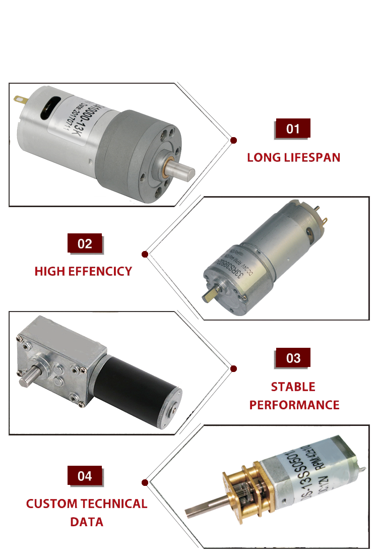 Planetary Drive Gear Motor Detail