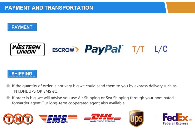 Shipping Logistics