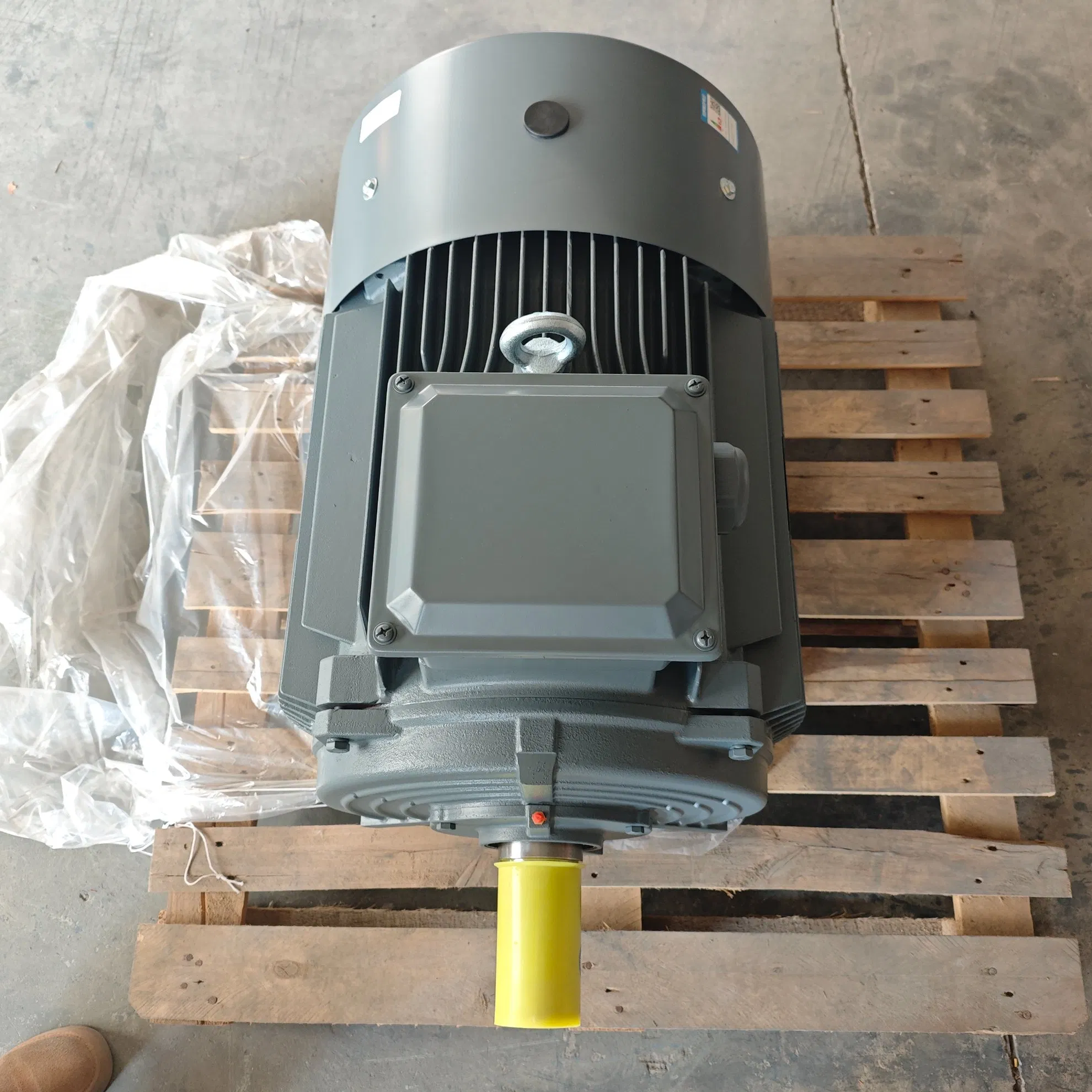 Low Voltage Explosion-Proof AC Electronic Motor with Protection Rating IP55, Suitable for Electric Vehicle Modification Kits