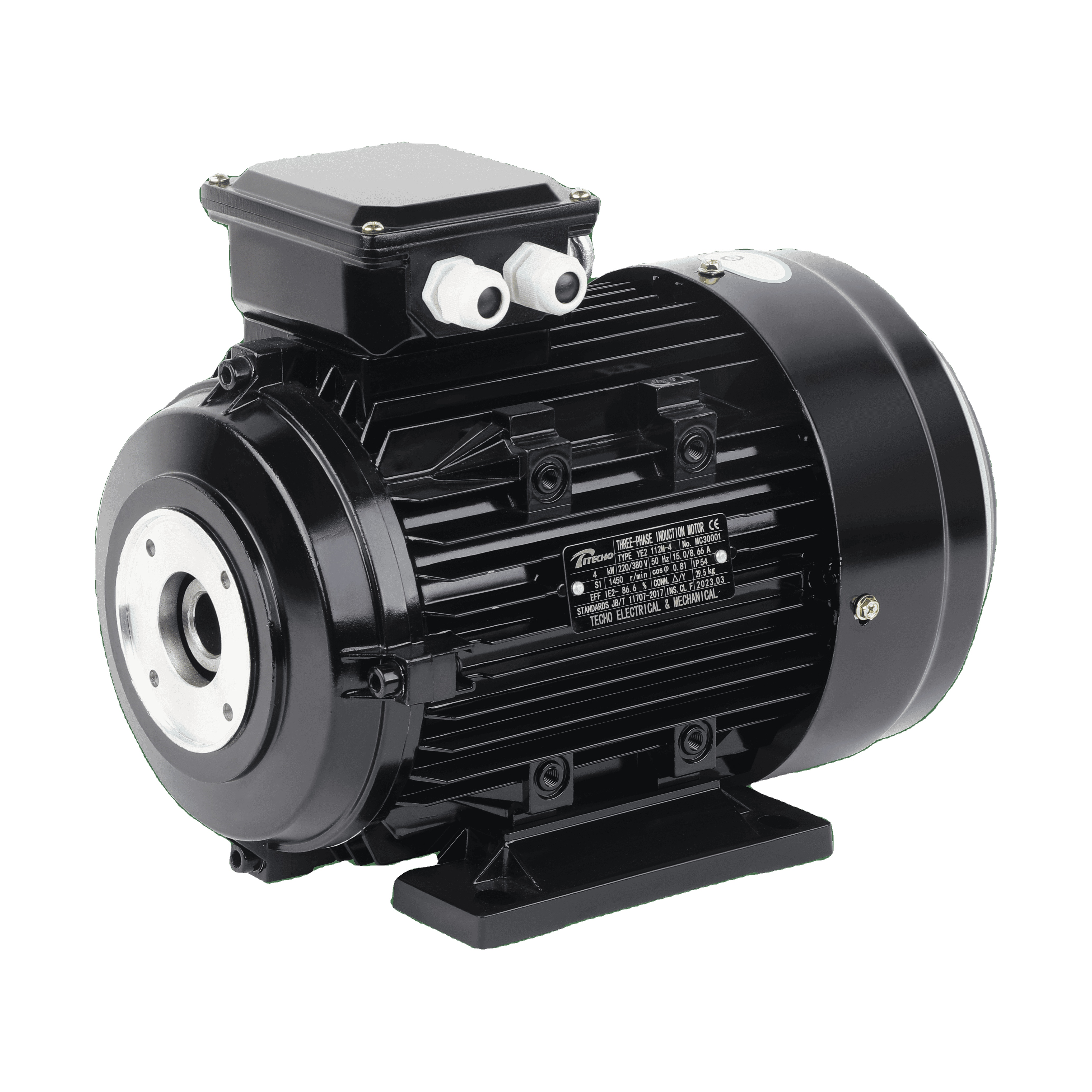 Electric Motor