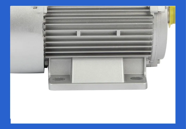 Single Phase Induction Motor 220V 3