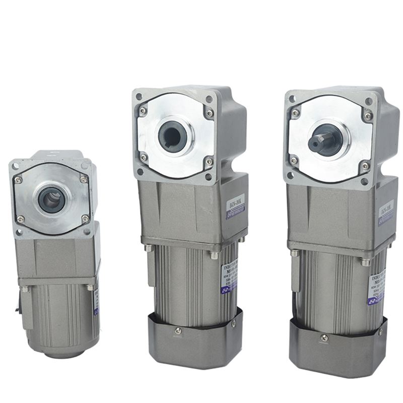 Hollow Single-phase Gear Reduction AC Motors 220V Electric 1 kW Power Output Shaft Waterproof CCC Certified 1500 RPM IE3